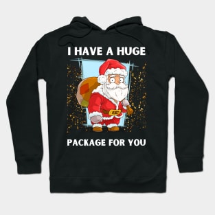 I Have A Huge Package For You Christmas Hoodie